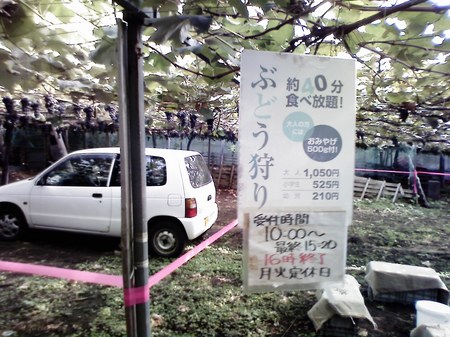 P1000008.JPG